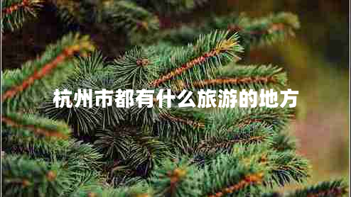 杭州市都有什么旅游的地方 杭州市都有什么旅游的地方