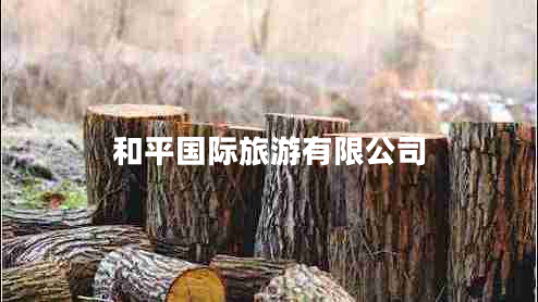 和平國際旅游有限公司