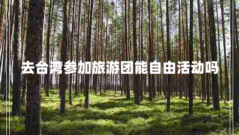 去臺灣參加旅游團能自由活動(dòng)嗎