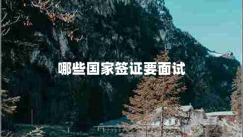 哪些國家簽證要面試