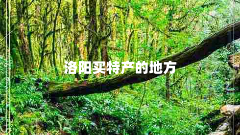 洛陽(yáng)買(mǎi)特產(chǎn)的地方