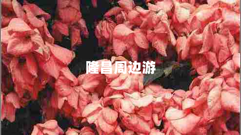 隆昌周邊游 隆昌周邊游