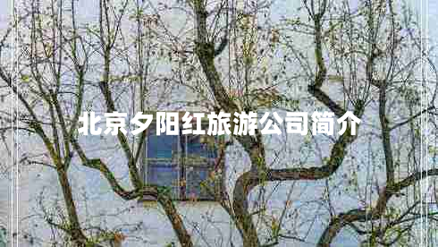北京夕陽(yáng)紅旅游公司簡(jiǎn)介
