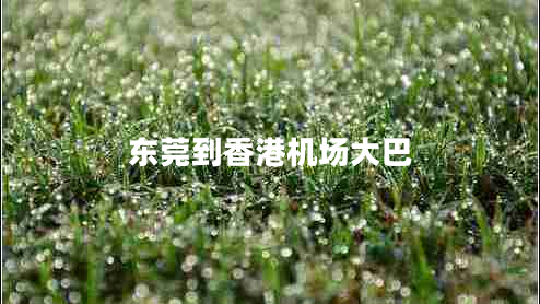 東莞到香港機場(chǎng)大巴