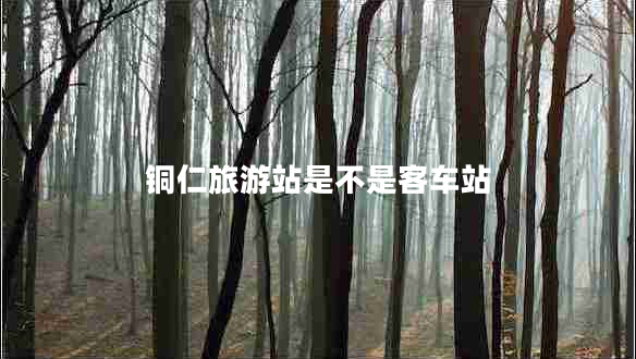 銅仁旅游站是不是客車(chē)站