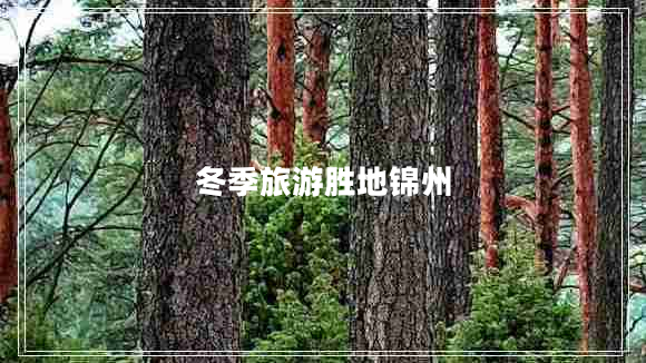 冬季旅游勝地錦州