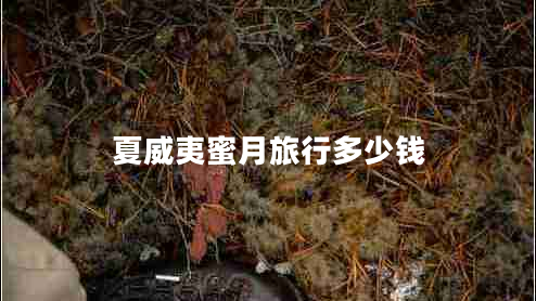 夏威夷蜜月旅行多少錢(qián)