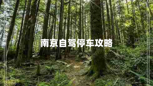 南京自駕停車(chē)攻略