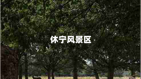 休寧風(fēng)景區