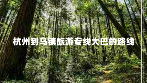 杭州到烏鎮旅游專(zhuān)線(xiàn)大巴的路線(xiàn)