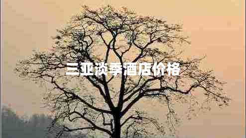 三亞淡季酒店價(jià)格