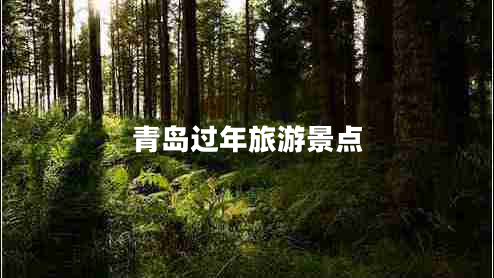 青島過(guò)年旅游景點(diǎn)