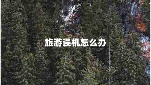 旅游誤機怎么辦