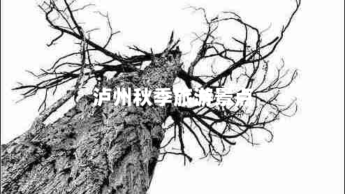 瀘州秋季旅游景點(diǎn)