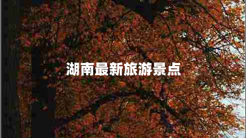 湖南最新旅游景點(diǎn)
