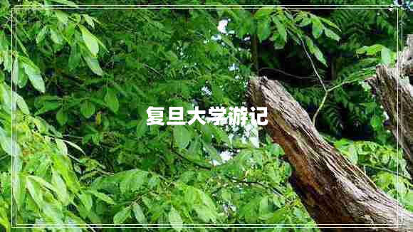 復旦大學(xué)游記