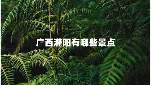 廣西灌陽(yáng)有哪些景點(diǎn)