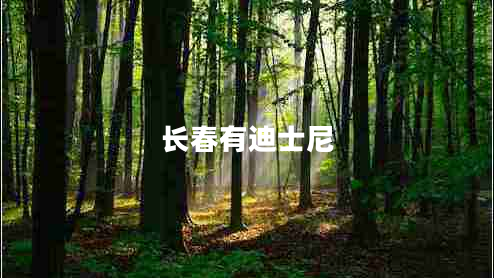 長(cháng)春有迪士尼 長(cháng)春有迪士尼