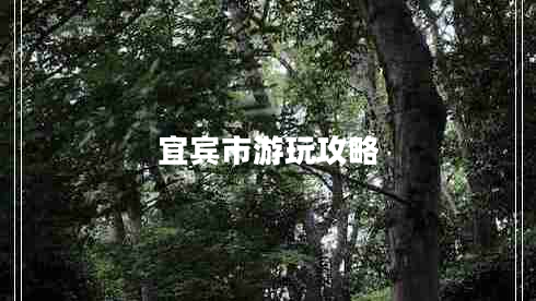 宜賓市游玩攻略