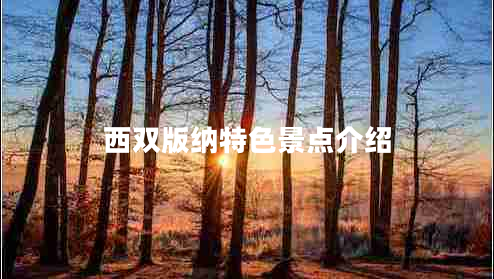 西雙版納特色景點(diǎn)介紹