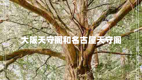 大阪天守閣和名古屋天守閣