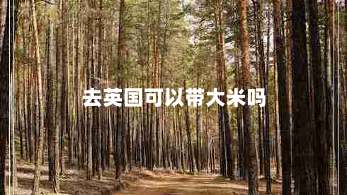 去英國可以帶大米嗎