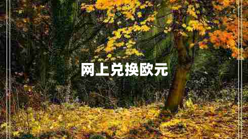 網(wǎng)上兌換歐元
