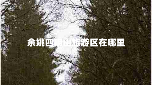 余姚四明山旅游區在哪里