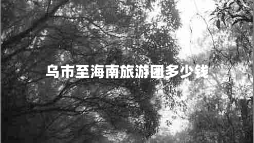 烏市至海南旅游團多少錢(qián)