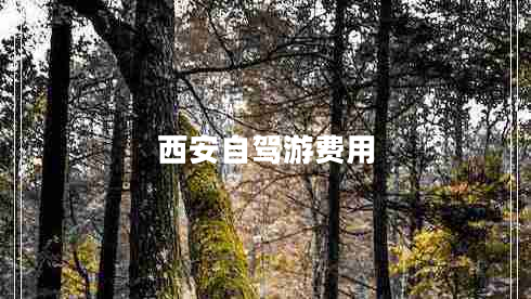 西安自駕游費用