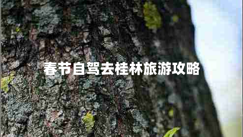 春節自駕去桂林旅游攻略