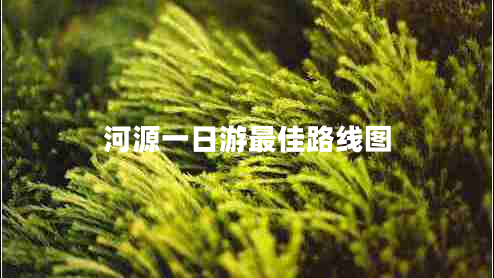 河源一日游最佳路線(xiàn)圖