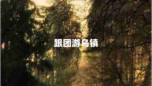 跟團游烏鎮 跟團游烏鎮