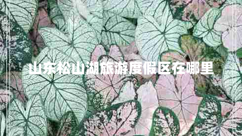 山東松山湖旅游度假區在哪里