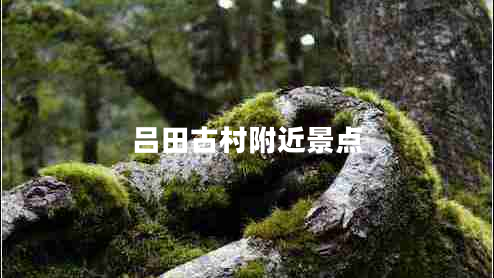 呂田古村附近景點(diǎn)