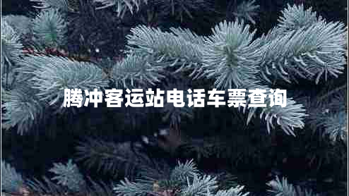 騰沖客運站電話(huà)車(chē)票查詢(xún)