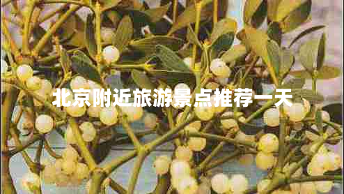 北京附近旅游景點(diǎn)推薦一天