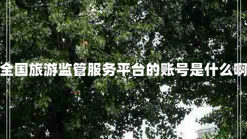 全國旅游監管服務(wù)平臺的賬號是什么啊