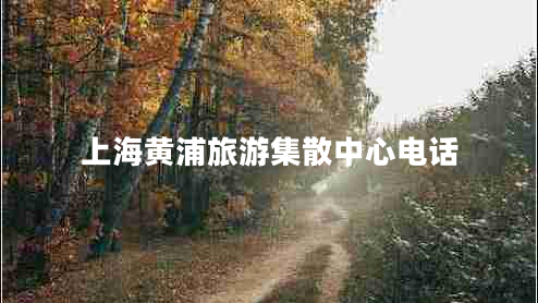 上海黃浦旅游集散中心電話(huà)