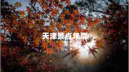 天津景點(diǎn)年票 天津景點(diǎn)年票