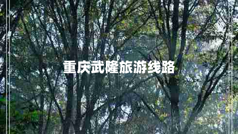 重慶武隆旅游線(xiàn)路