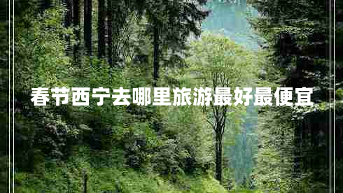 春節西寧去哪里旅游最好最便宜