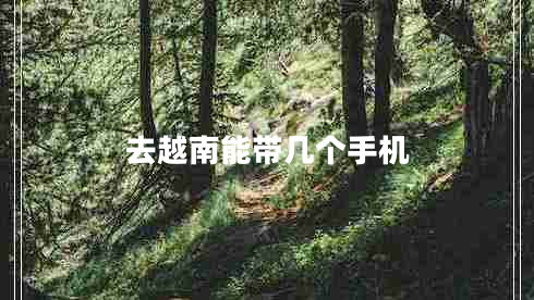 去越南能帶幾個(gè)手機