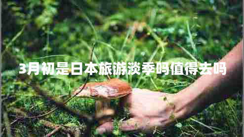 3月初是日本旅游淡季嗎值得去嗎
