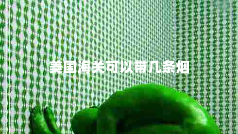 美國海關(guān)可以帶幾條煙