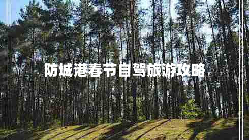 防城港春節自駕旅游攻略