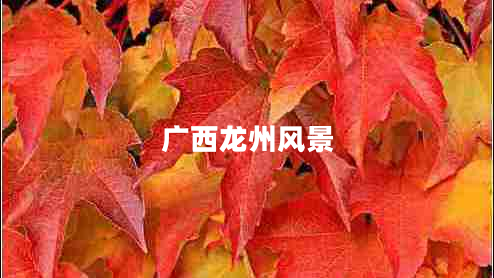 廣西龍州風(fēng)景