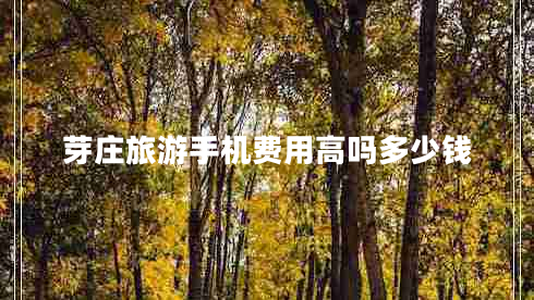 芽莊旅游手機費用高嗎多少錢(qián)