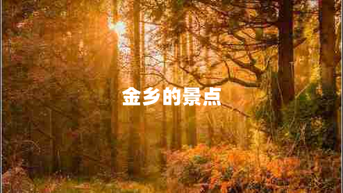 金鄉的景點(diǎn)