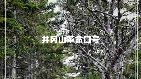 井岡山革命口號